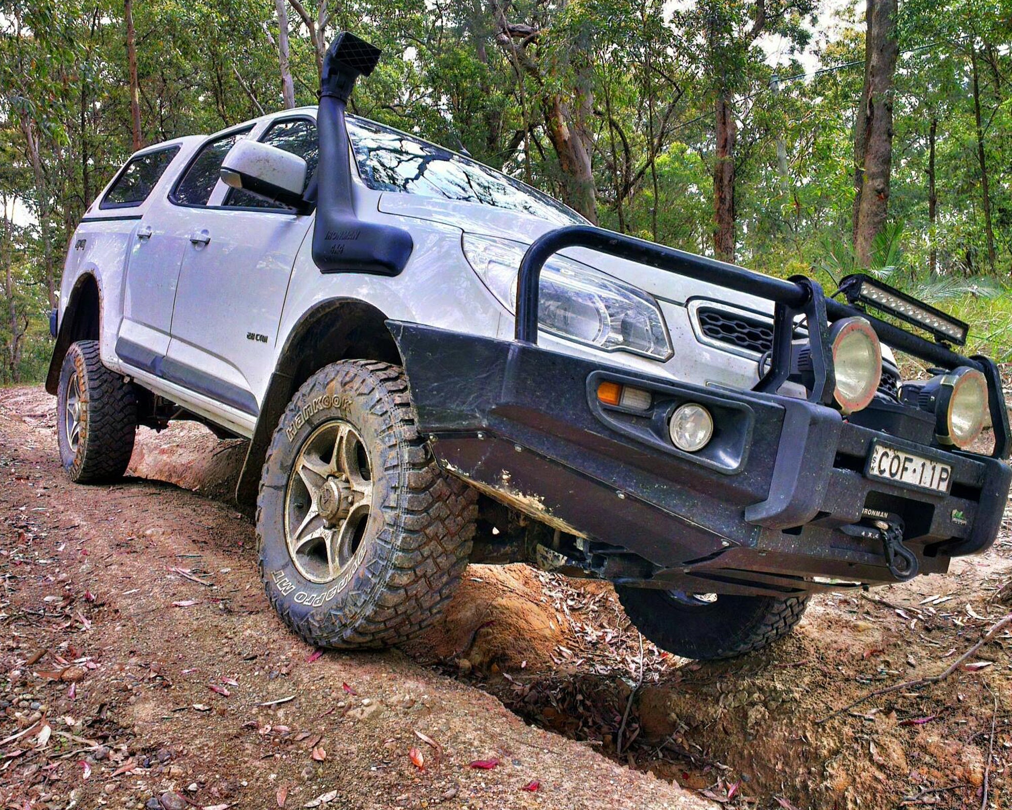 Deluxe Bull Bar
