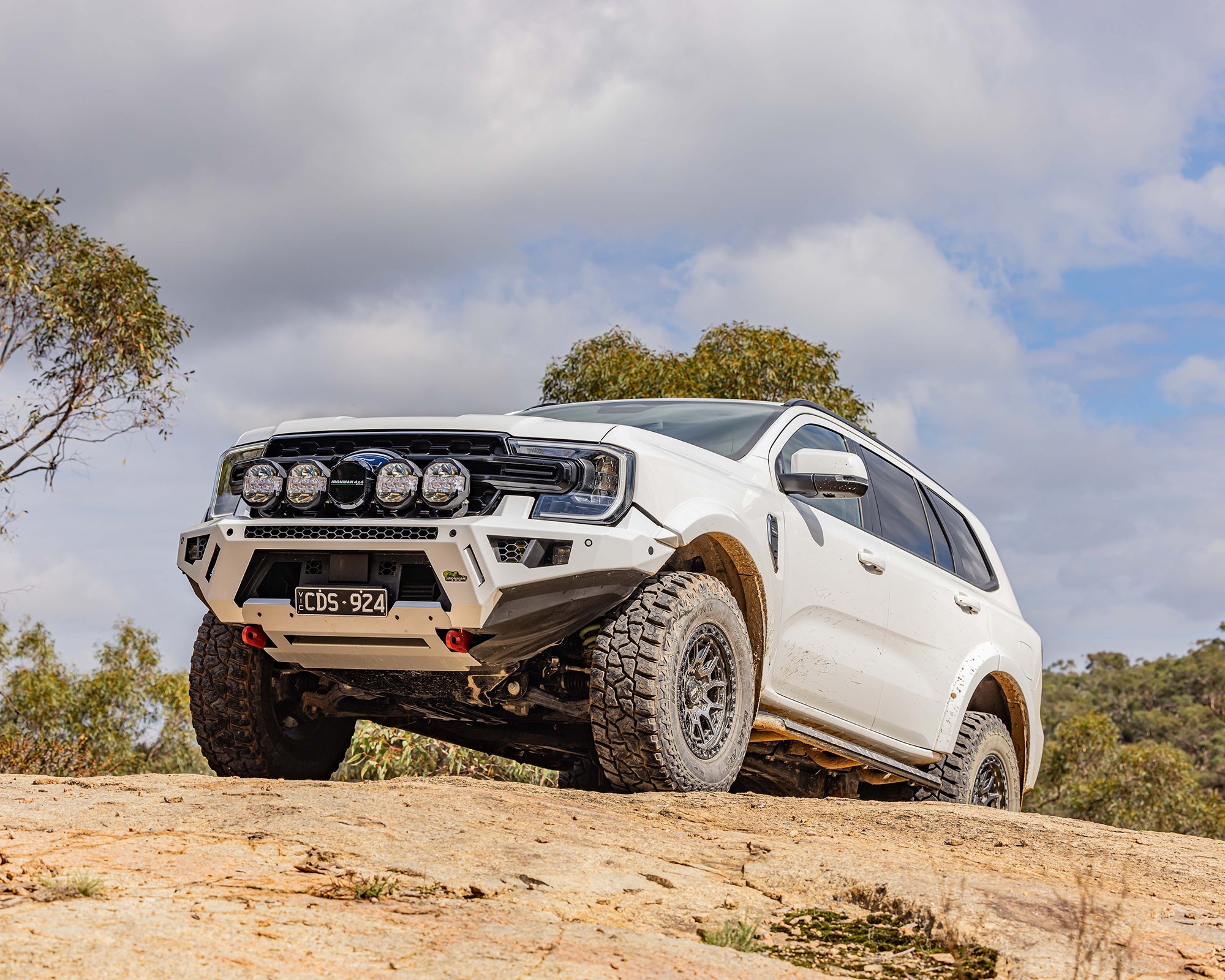 Raid Bull Bar & Lights Kit