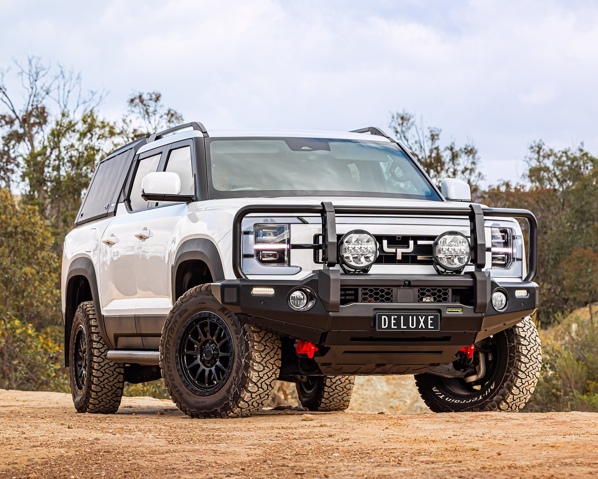 Deluxe Bull Bar
