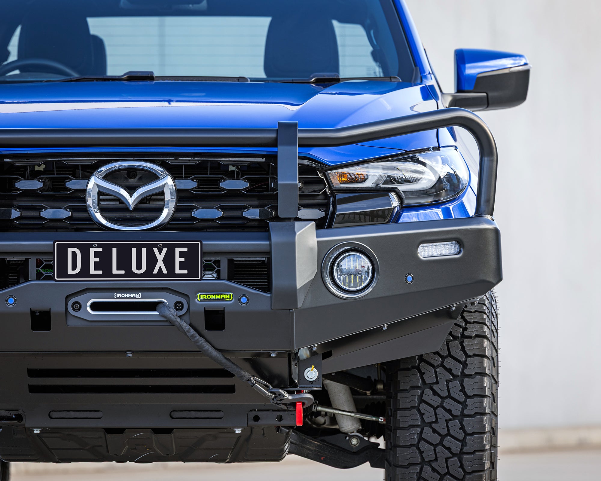 Deluxe Bull Bar