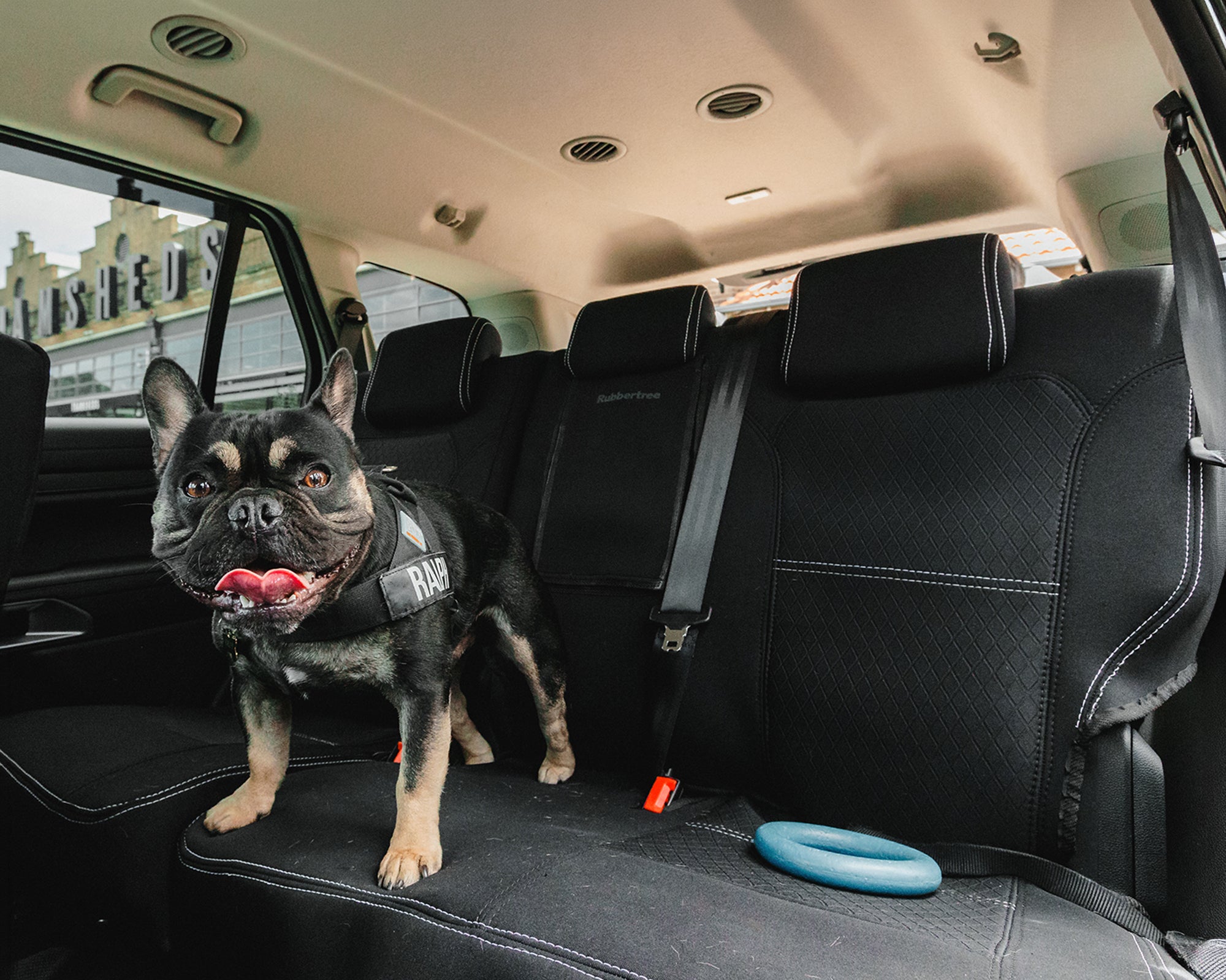Rubbertree Premium Neoprene Seat Covers