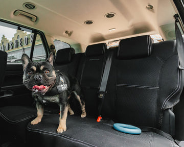 Rubbertree Premium Neoprene Seat Covers